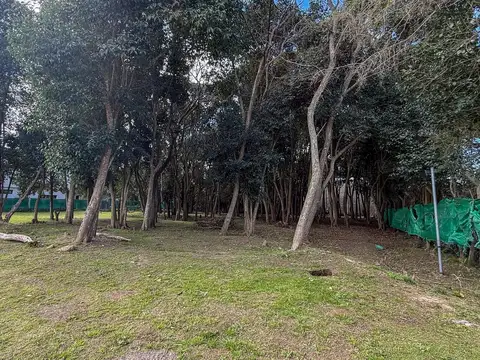 Terreno en venta en calle 409 e/ 21 y 22 - Villa Elisa