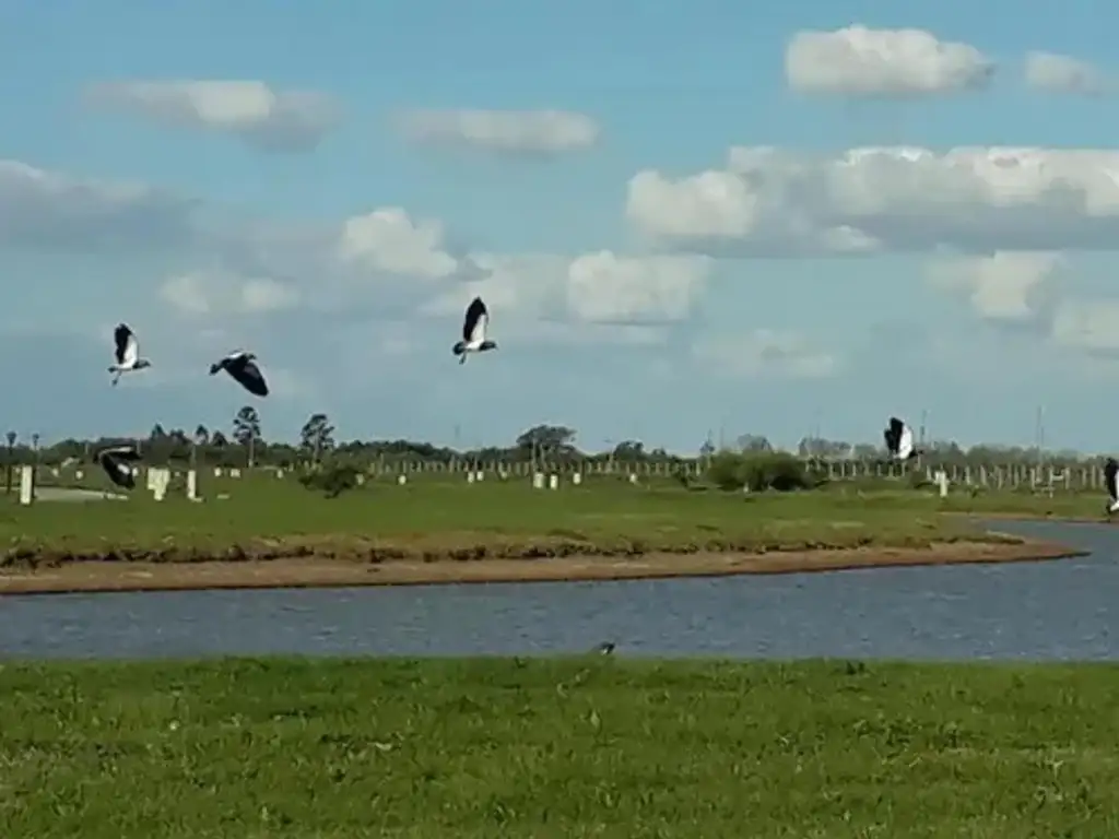 Lote en barrio Sebastian Gaboto  - Foto 16