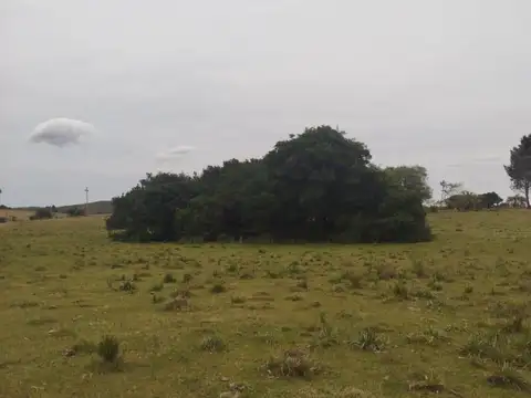 Chacra en venta de 28ha ubicado en Garzon