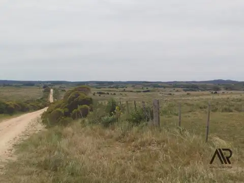 Chacra en venta de 28ha ubicado en Garzon