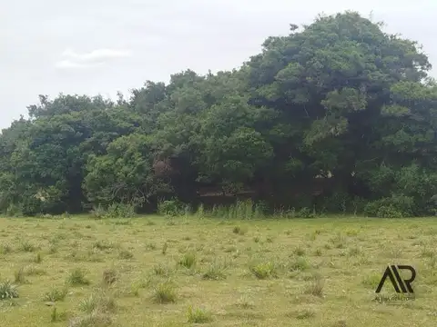 Chacra en venta de 28ha ubicado en Garzon