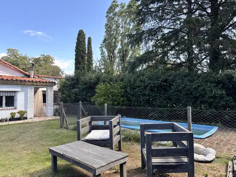 Lago Lacar al 900