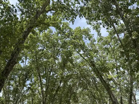 Terreno en Venta de 2693,0 m2