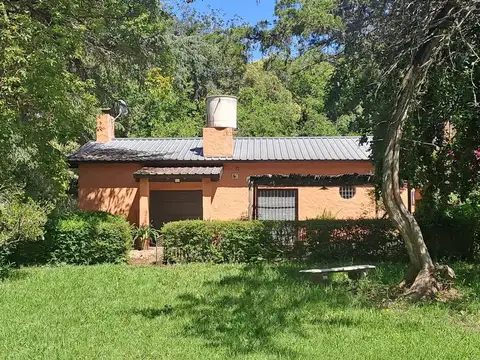 Las Coniferas Y Las Rosas