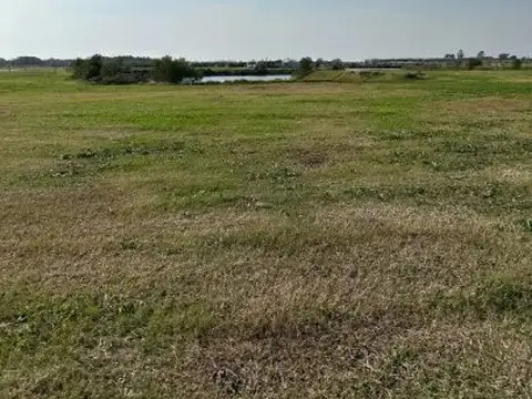 Terreno en Venta en Berazategui, USD 90.000