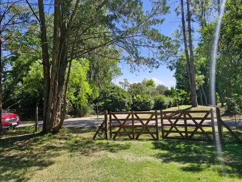 Carmel  CC