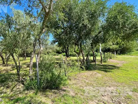 Avenida Circunvalación ex Michilingues