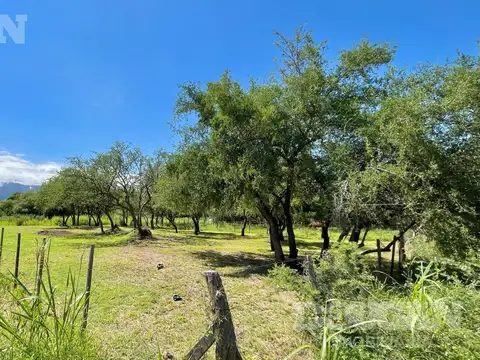 Avenida Circunvalación ex Michilingues
