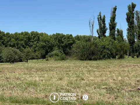 Terreno Residencial Lote en venta en La Colina