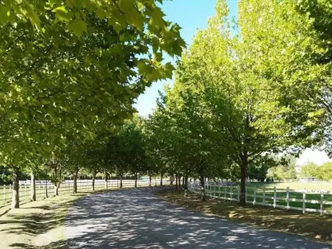 Oportunidad! Lote en venta en barrio Haras del Sol, Pilar