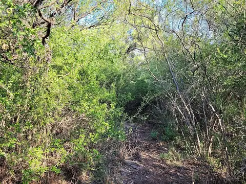 Terreno en Venta en Charbonier, USD 161.000