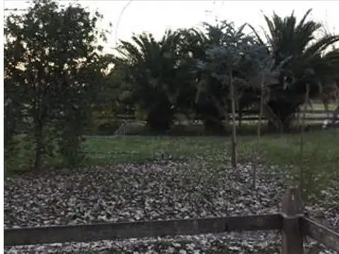 Campo en Venta Agrícola