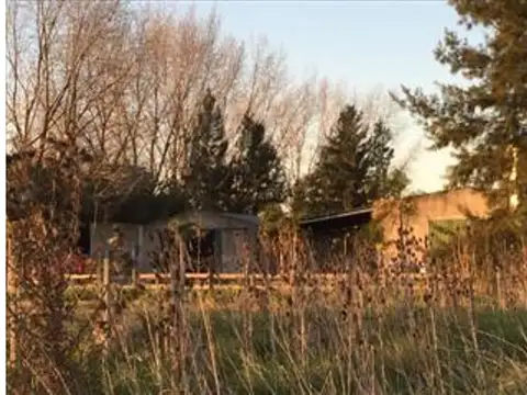 Campo en Venta Agrícola