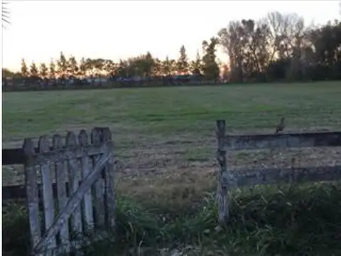 Campo en Venta