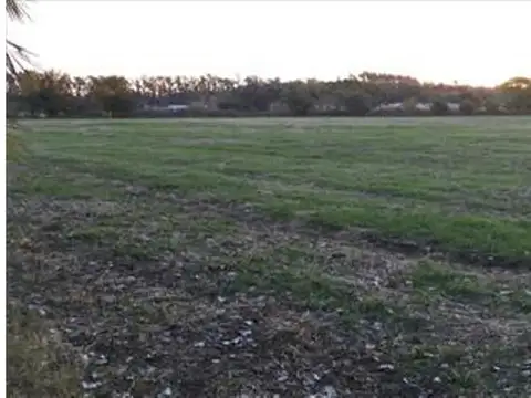 Campo en Venta