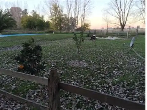 Campo en Venta