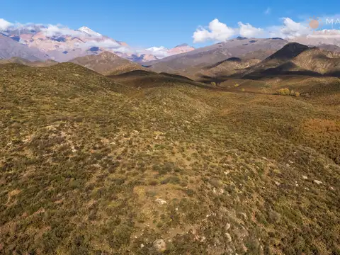 Finca en venta Los Arboles