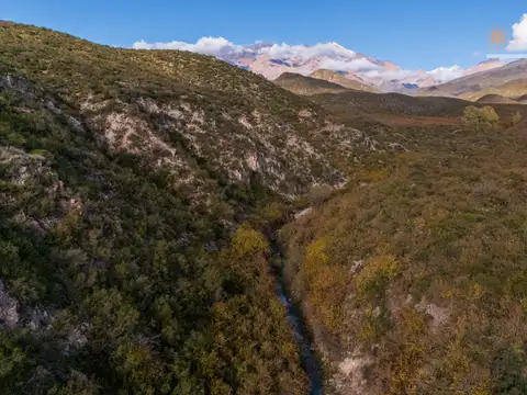 Finca en Los Arboles