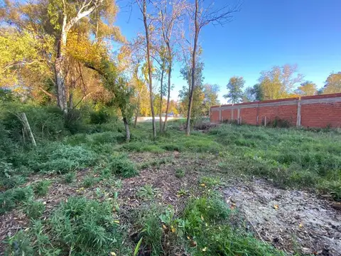 José L. Bustamante 4100