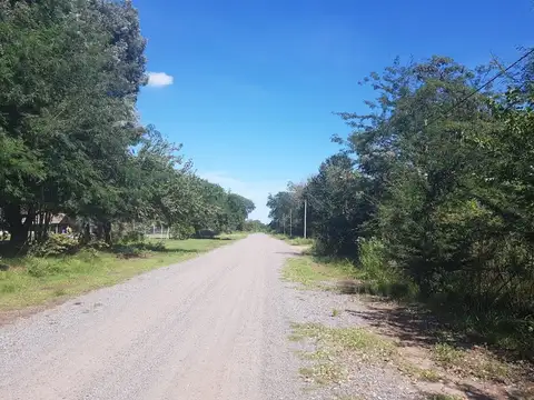 Carlos de Linneo 5000