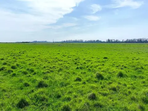 Campo a la VENTA en Bella Vista, Corrientes.