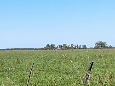 Campo a la VENTA en Bella Vista, Corrientes.