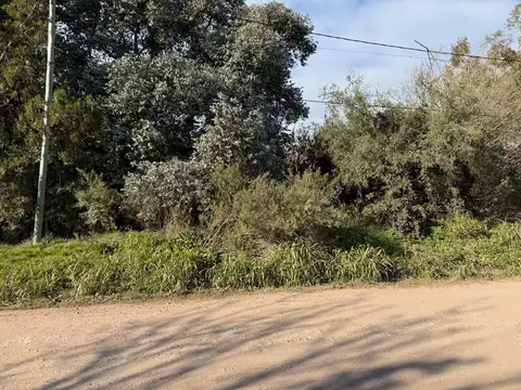 Gran lote arbolado en Fátima