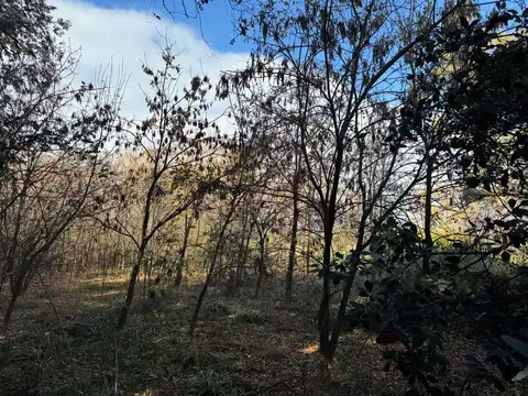 Terreno en Venta de 4424,0 m2