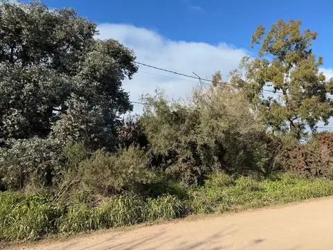 Gran lote arbolado en Fátima