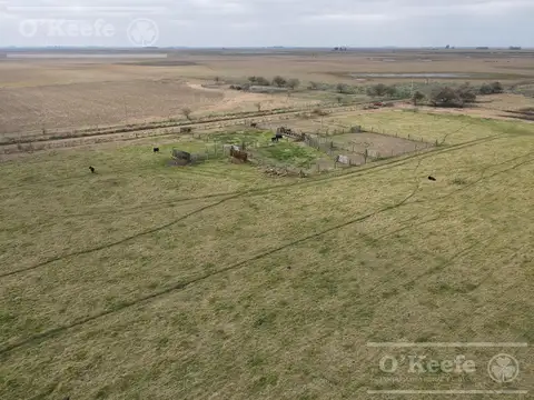 Dolores 210 has. Campo Mixto en Venta. Excelente unidad productiva.