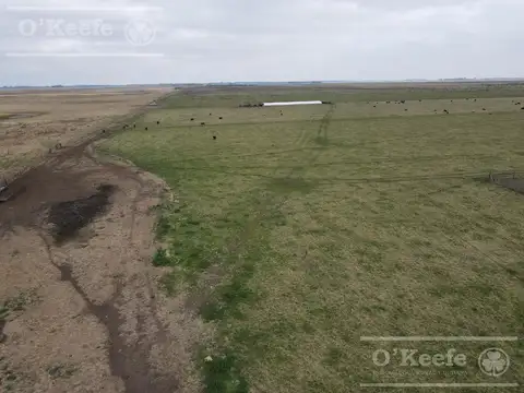 Dolores 210 has. Campo Mixto en Venta. Excelente unidad productiva.