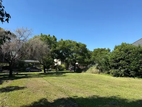 Club de Campo El Paso 300