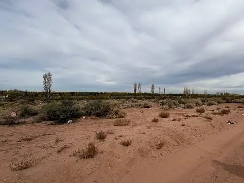 10 HECTAREAS EN VENTA EN PLOTTIER
