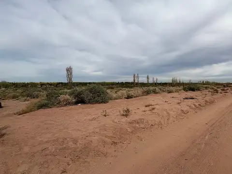 10 HECTAREAS EN VENTA EN PLOTTIER