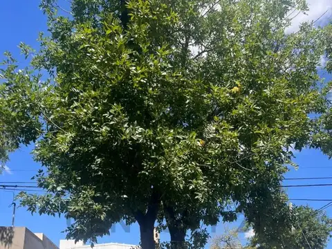 Oficina en Venta en Venado Tuerto, USD 63.000