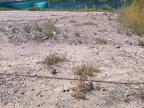 Terreno en Venta de 500,0 m2