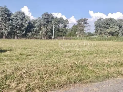 Terreno en San Roque