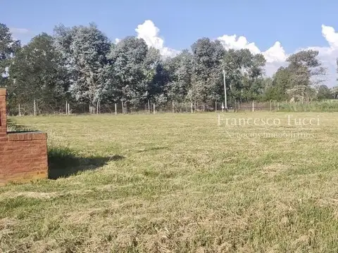Ruta 6