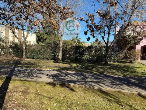 Carola Lorenzini 4900