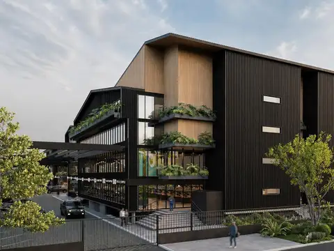 Black Paseo de Compras