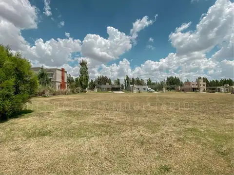 Terreno en Venta, FOT 50