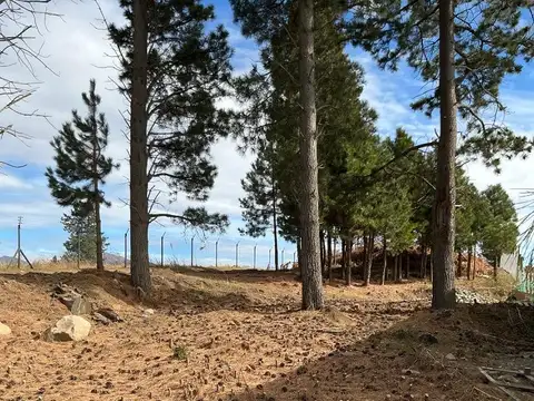 Pje. Las Morenas 100