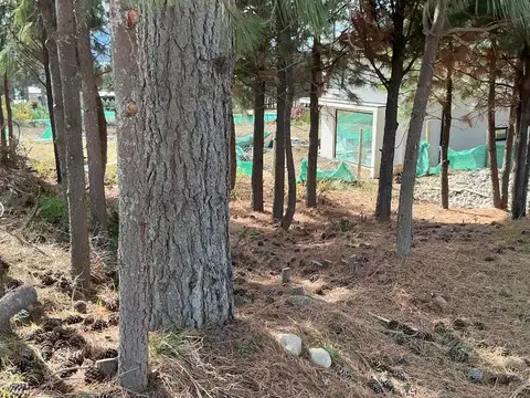 Terreno en Venta de 600,0 m2