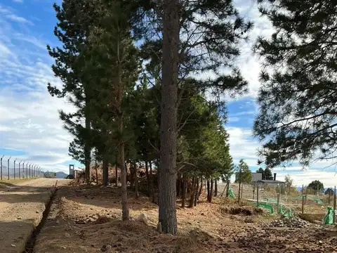Terreno en Venta B° Solares del Este