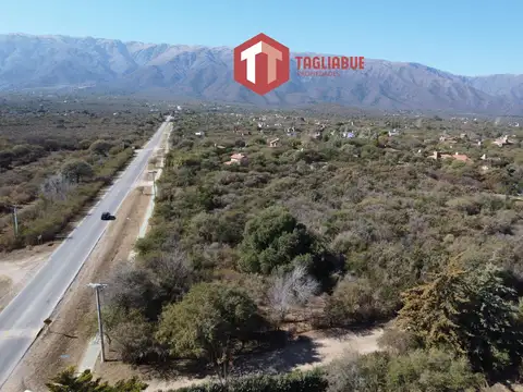 Terreno en Venta 50  mts Frente