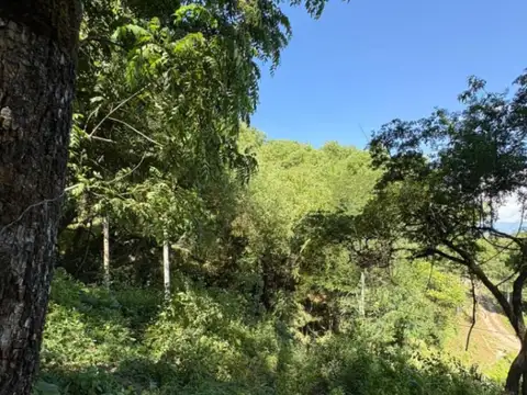 Terreno en Venta de 1300,0 m2