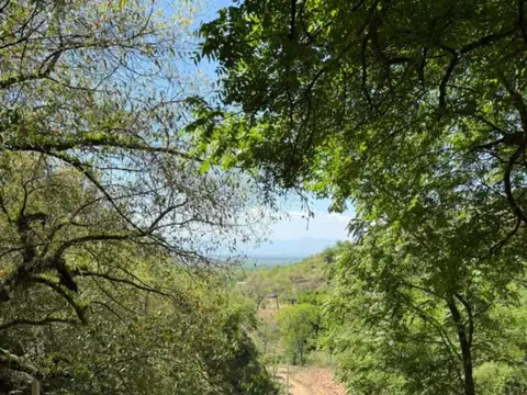 Terreno en Venta 32  mts Frente