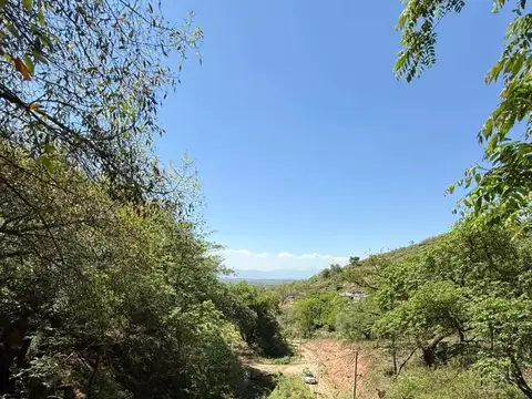 Terreno en Venta 38  mts Fondo