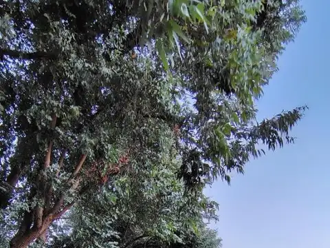 Terreno en Venta de 1005,0 m2