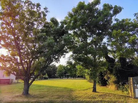 Av. Bartolomé Mitre 800